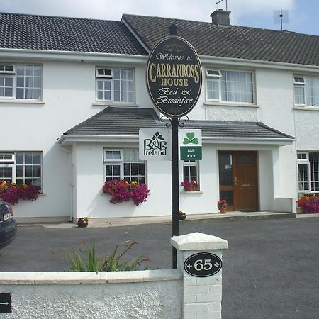 Carranross Accommodation Killarney Dış mekan fotoğraf